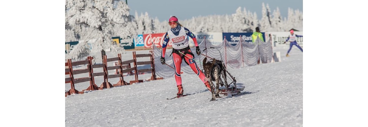 NM del 2 Nordisk stil